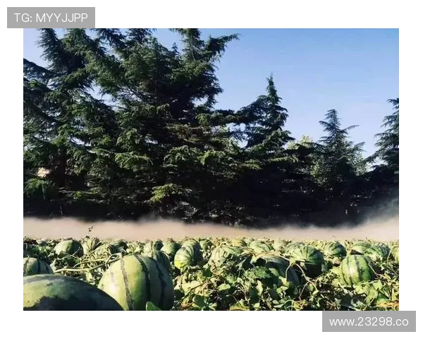 17吃瓜入口入口入口:快速进入吃瓜世界的秘诀